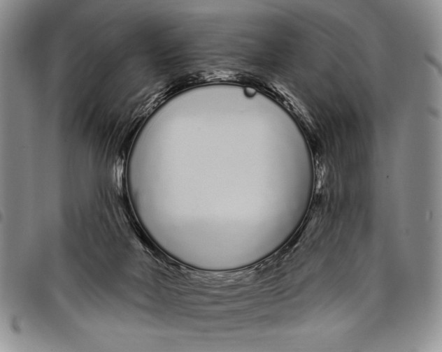 X0000097970026200804141104