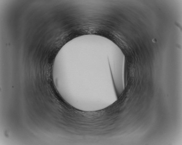 X0000097970030200804141104