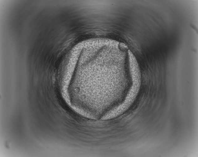 X0000097970032200804141104