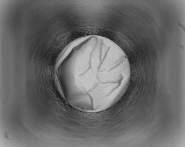 X0000097970034200804141104