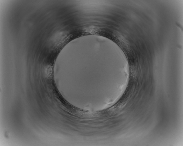 X0000097970036200804141104