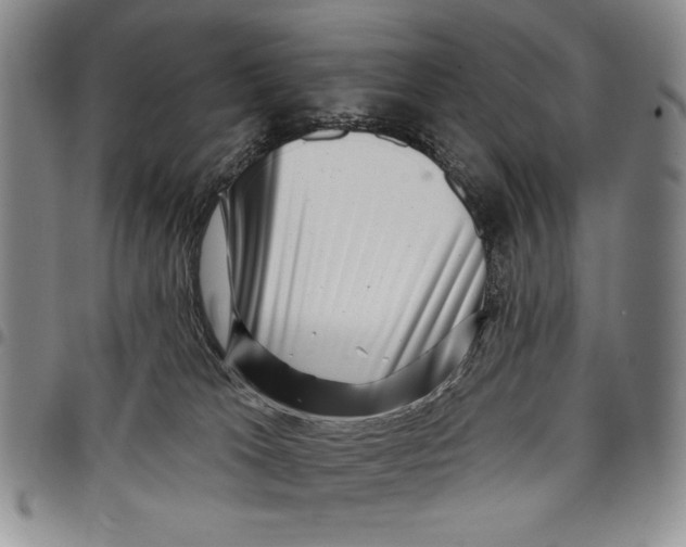 X0000097970037200804141104