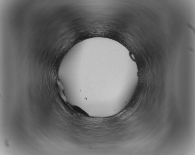 X0000097970040200804141104