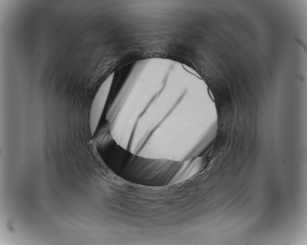 X0000097970041200804141104