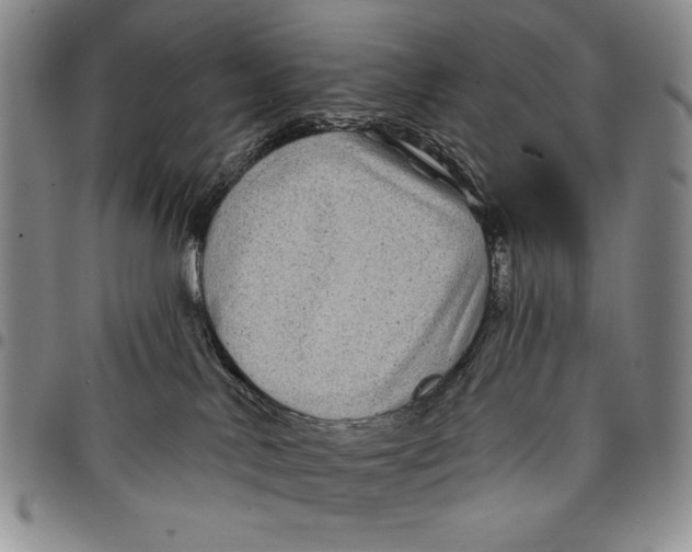 X0000097970042200804141104
