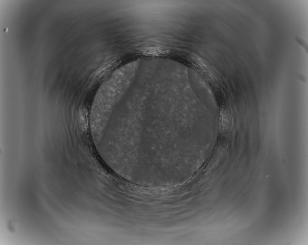 X0000097970043200804141104