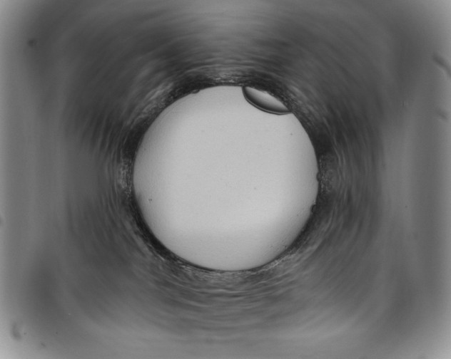 X0000097970044200804141104