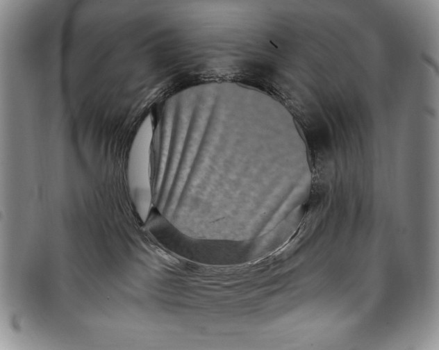 X0000097970045200804141104