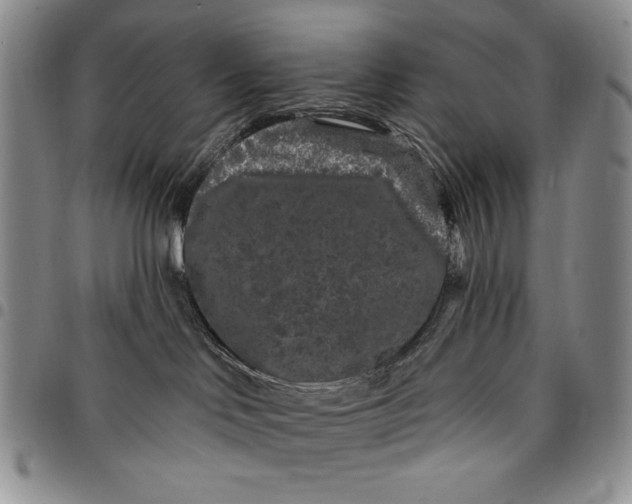 X0000097970046200804141104