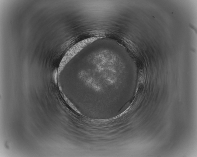 X0000097970047200804141104