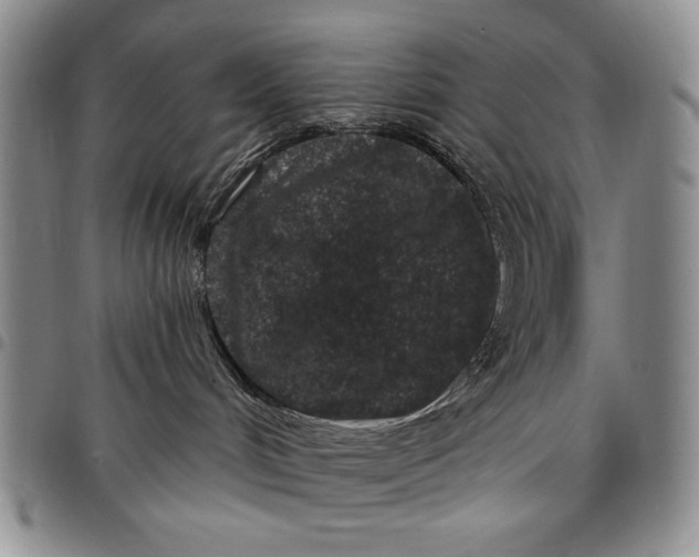 X0000097970048200804141104