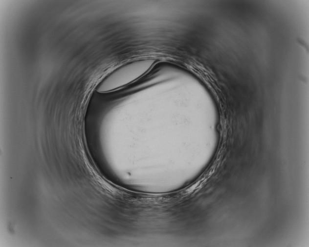 X0000097970049200804141103
