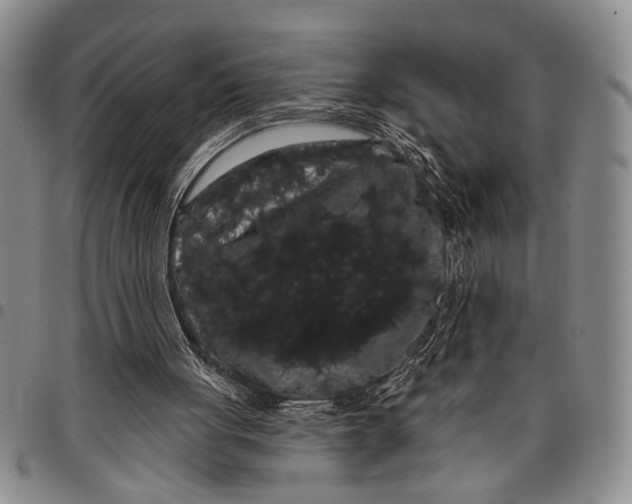 X0000097970051200804141103