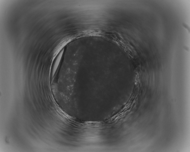 X0000097970052200804141103