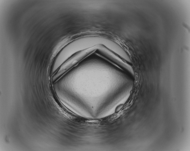 X0000097970053200804141103