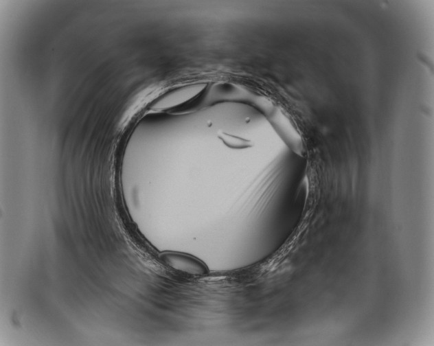 X0000097970054200804141103