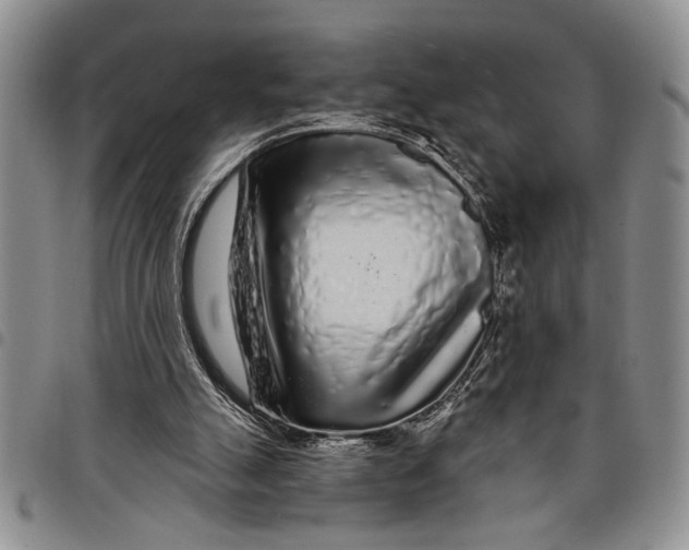 X0000097970055200804141103