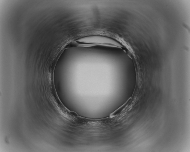 X0000097970057200804141103