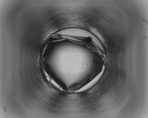 X0000097970058200804141103