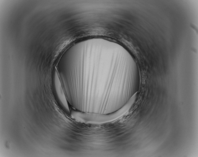X0000097970060200804141103