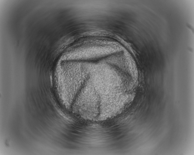 X0000097970061200804141103