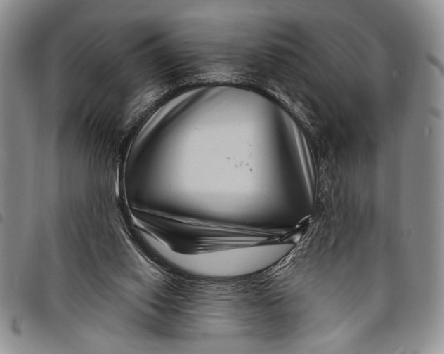 X0000097970062200804141103