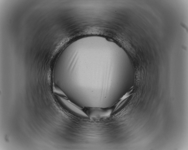 X0000097970064200804141103