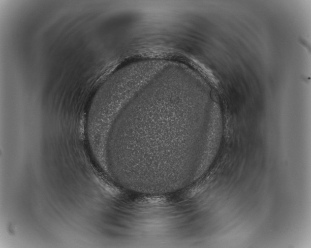 X0000097970065200804141103
