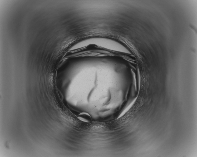 X0000097970066200804141103