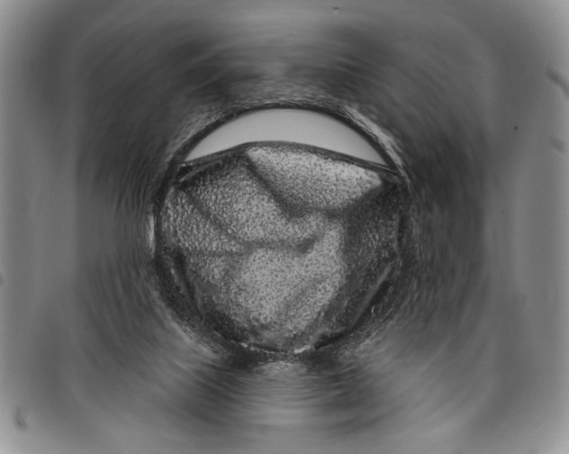 X0000097970067200804141103