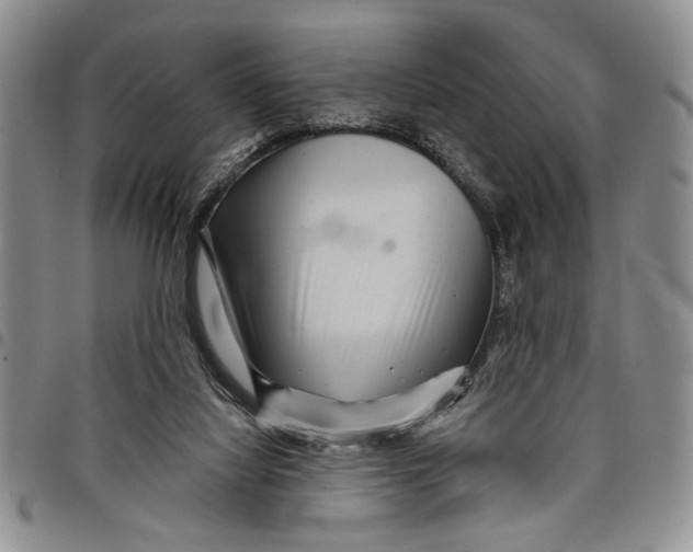 X0000097970068200804141103