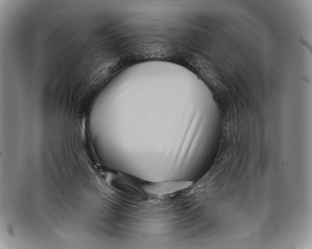 X0000097970070200804141103