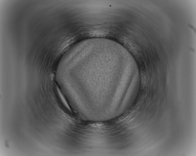 X0000097970071200804141103