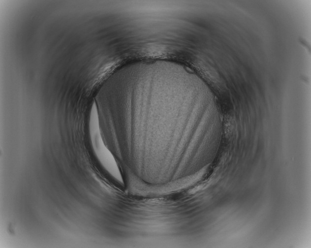 X0000097970072200804141103