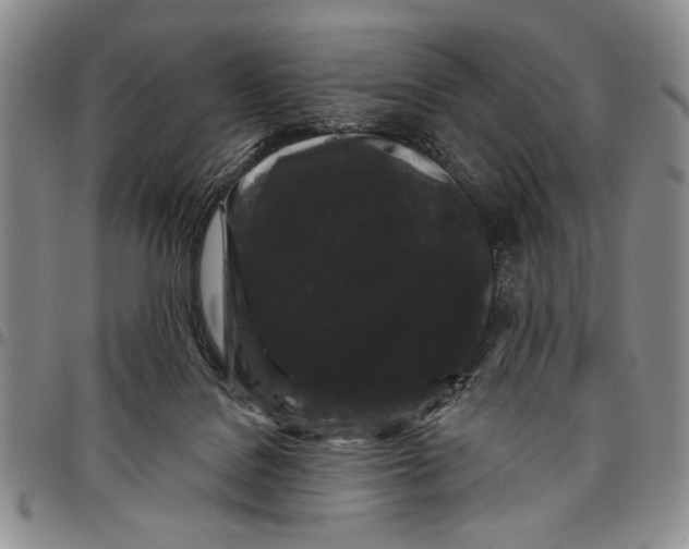 X0000097970076200804141103