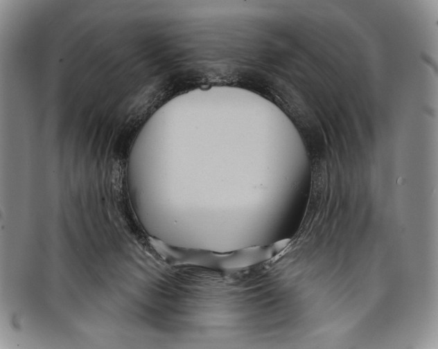 X0000097970078200804141103