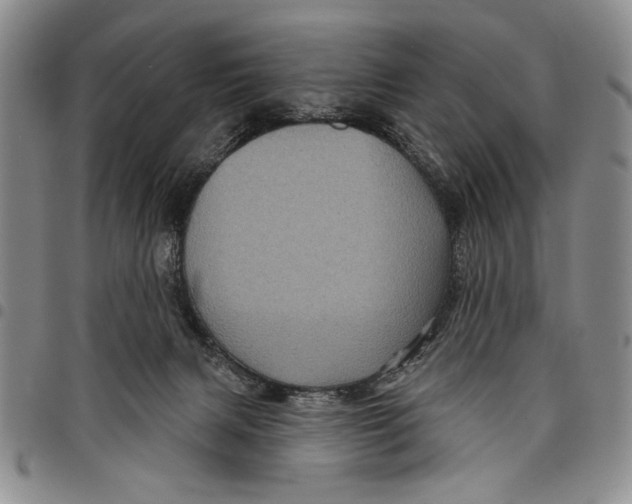 X0000097970079200804141103