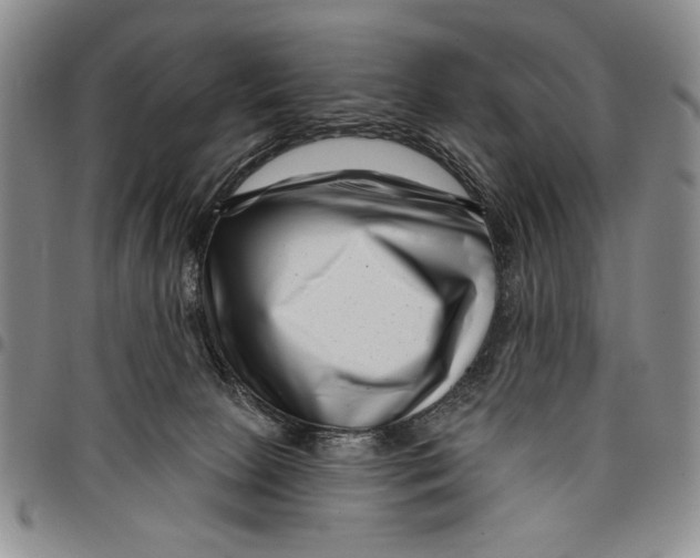 X0000097970081200804141103