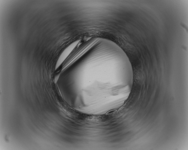 X0000097970082200804141103