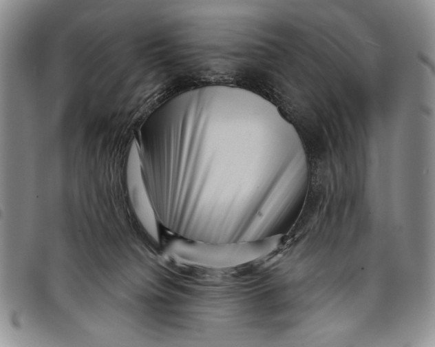 X0000097970084200804141104
