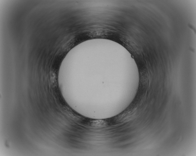 X0000097970087200804141104