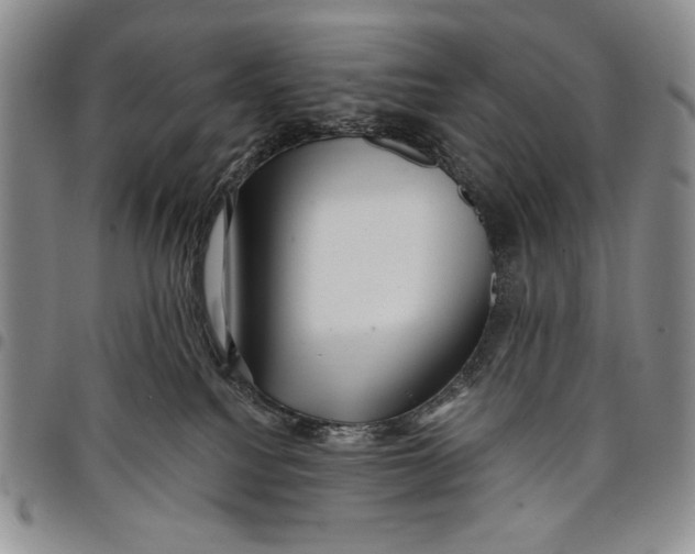 X0000097970088200804141104