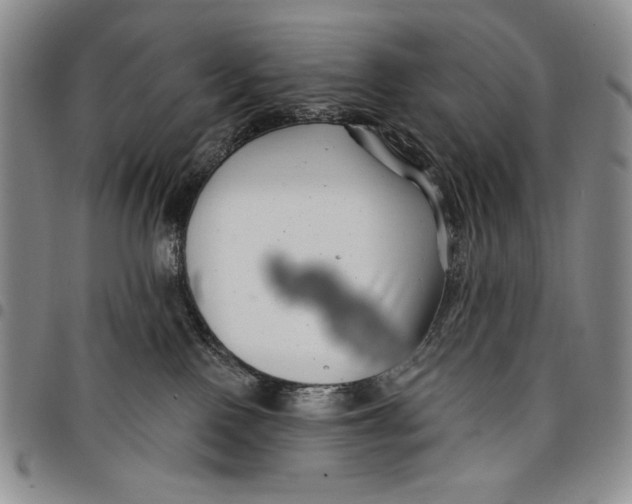 X0000097970090200804141104