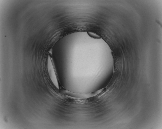 X0000097970092200804141104