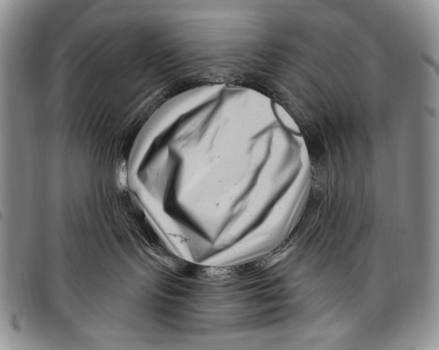 X0000097970095200804141104