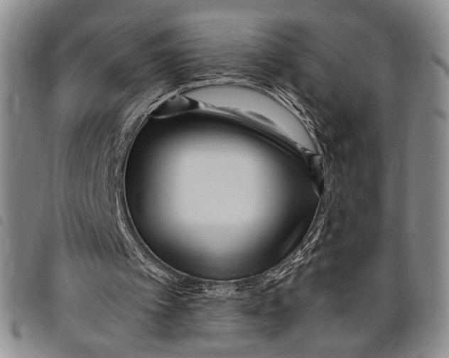 X0000097970097200804141103