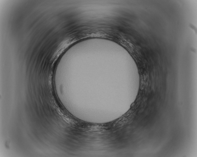 X0000097970098200804141103