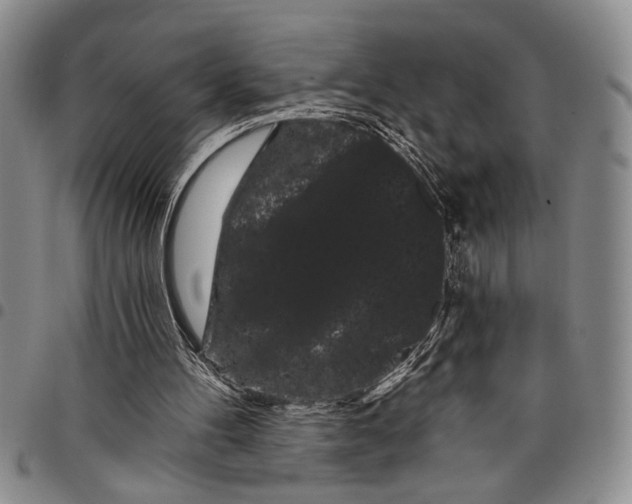 X0000097970100200804141103
