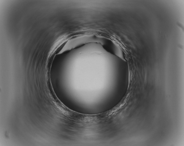 X0000097970101200804141103
