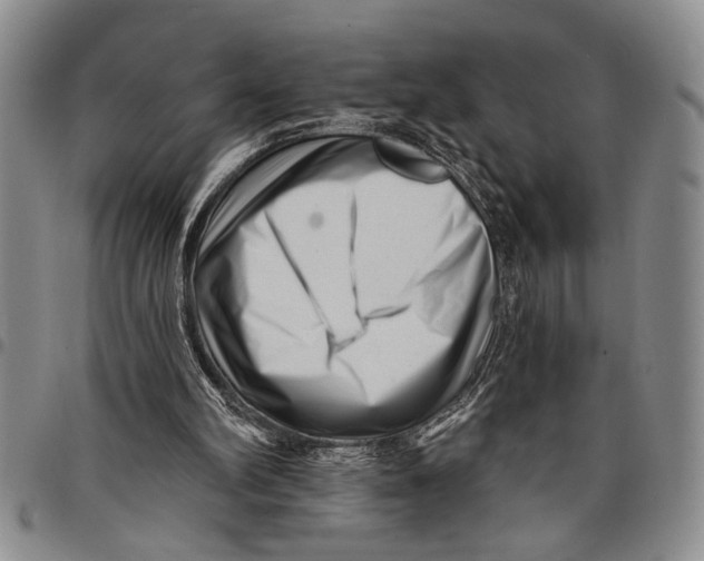 X0000097970102200804141103